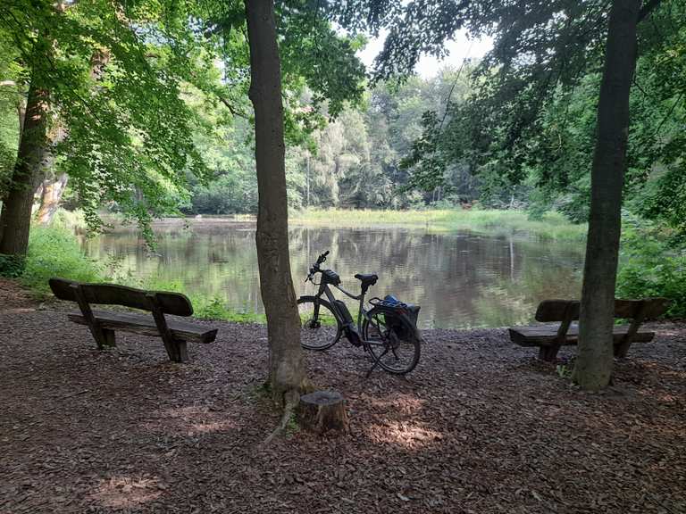 Sülfeld Detmerode Neuhaus Allersee KreuzheideNeptun