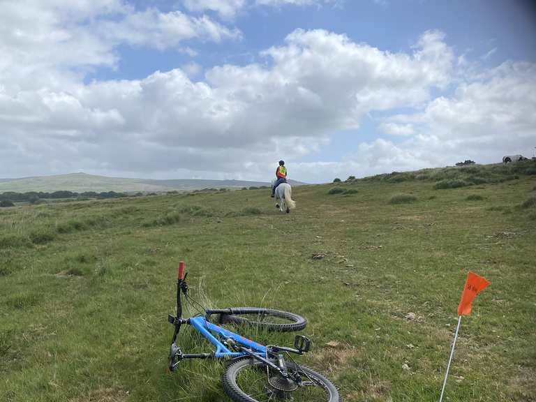 Dartmoor, Mary tavy, gibbet hill, lydford mountain bike ride Komoot