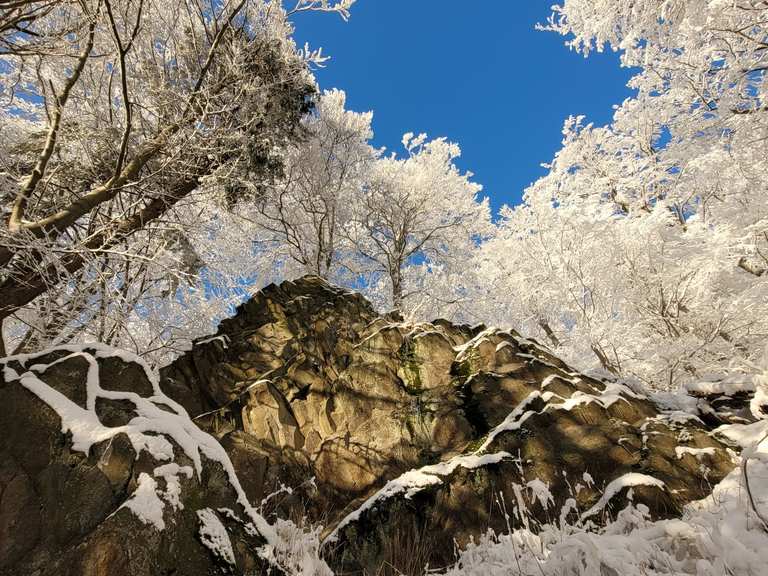 Hoher Meißner & Seesteine Wanderung Komoot