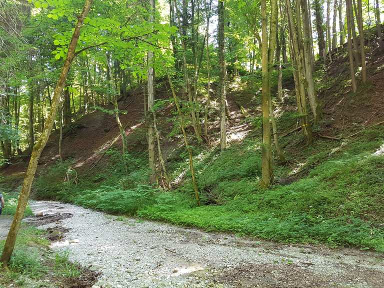 Tutzing Ilkahoehe Waldschmidtschlucht Wanderung Komoot