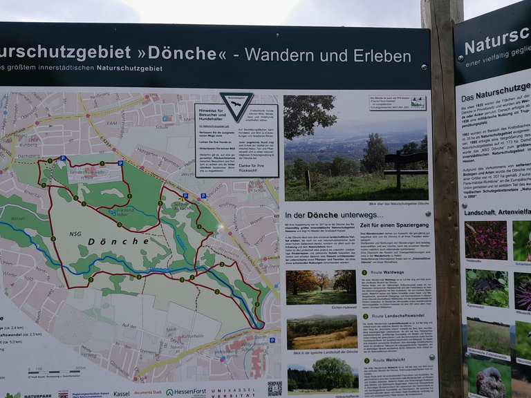 Blick auf die Dönche Wanderung Komoot