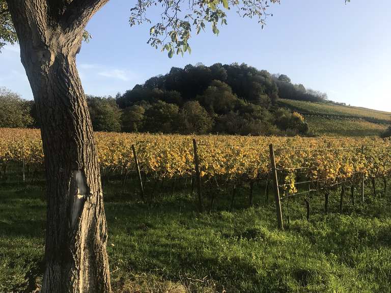grillen-und-chillen-kerber-strausse-79219-staufen-im-breisgau