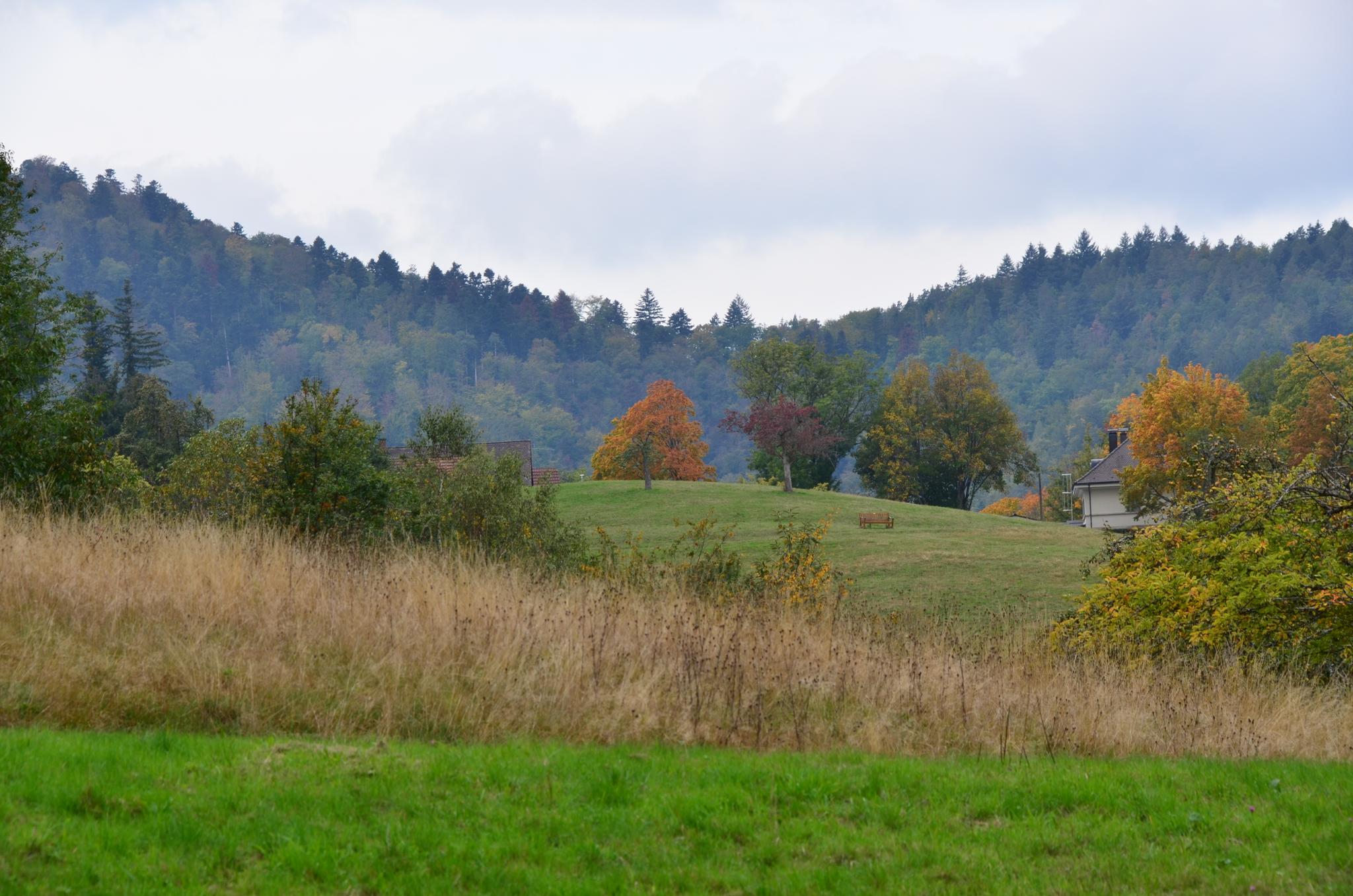 Panoramaweg Baden-Baden, Etappe 3 | Wanderung | Komoot