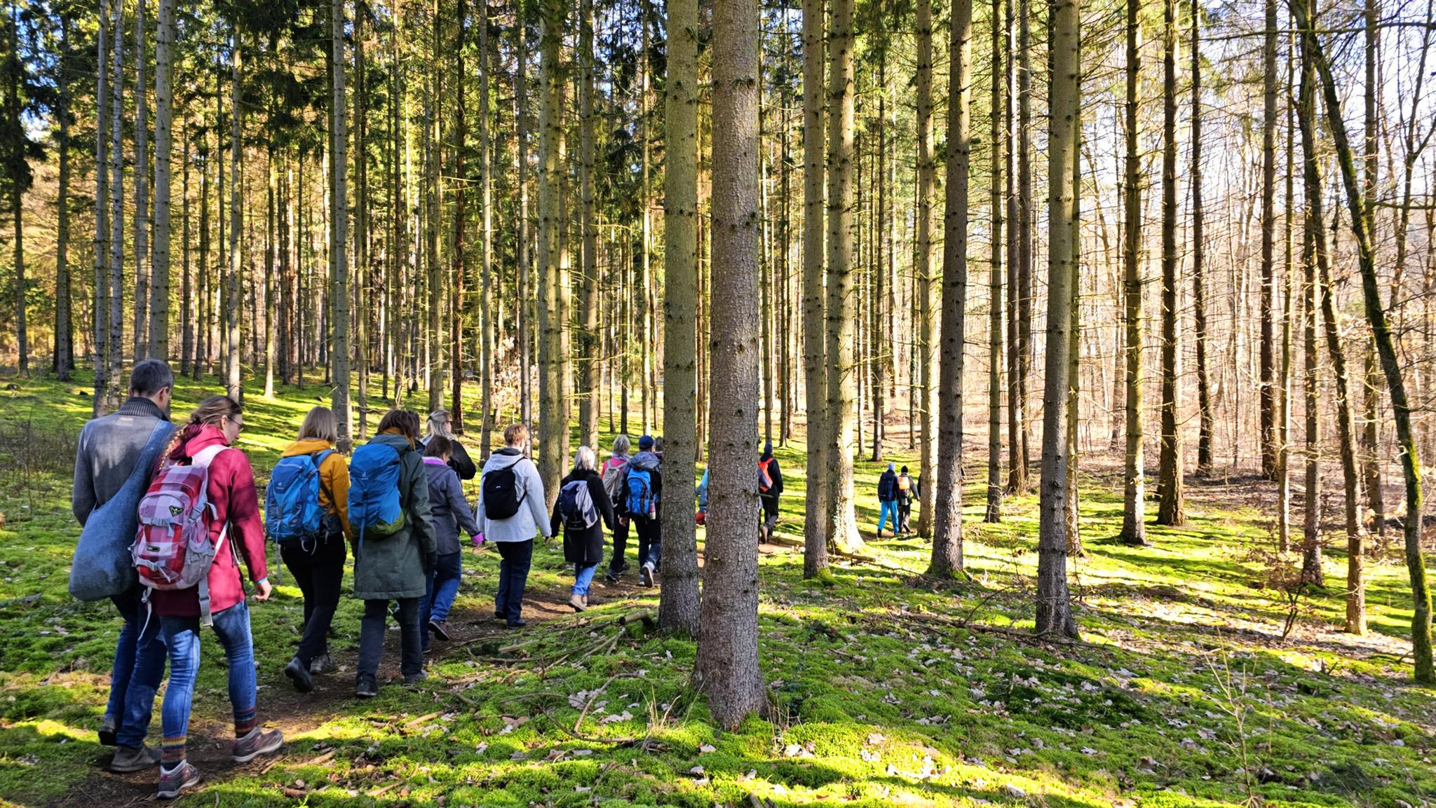 Gruppenwanderung: Rundtour Durch Die Moor-, Fließ- Und Seenlandschaft ...