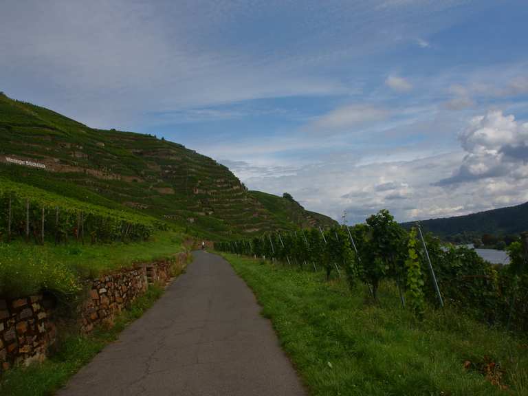 entfernung cochem koblenz mit dem fahrrad