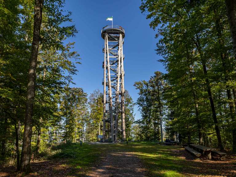 Haslach im Kinzigtal -🗼 Urenkopfturm 👹Teufelskanzel😎 | hike | Komoot