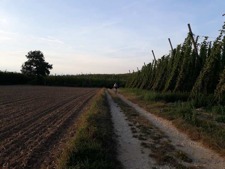 Volksfest Wolnzach mountain bike ride Komoot