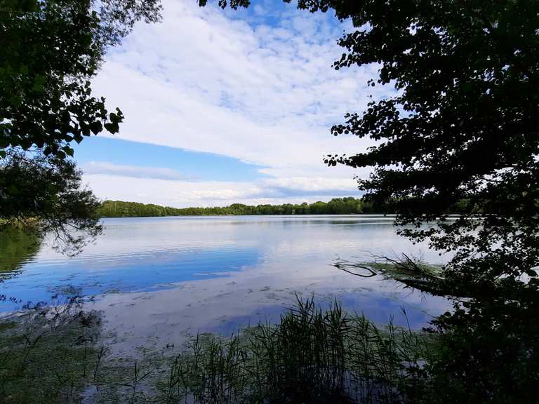 48+ Teiche Und Seen In Der Nähe, Die müritz ist das herzstück der