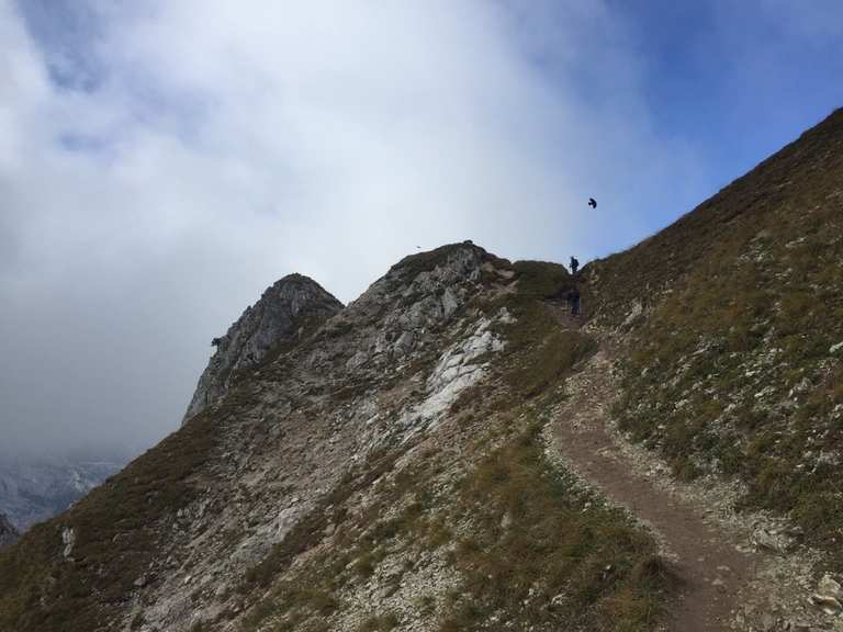 Mit Hund auf die Zugspitze Bergtour Komoot