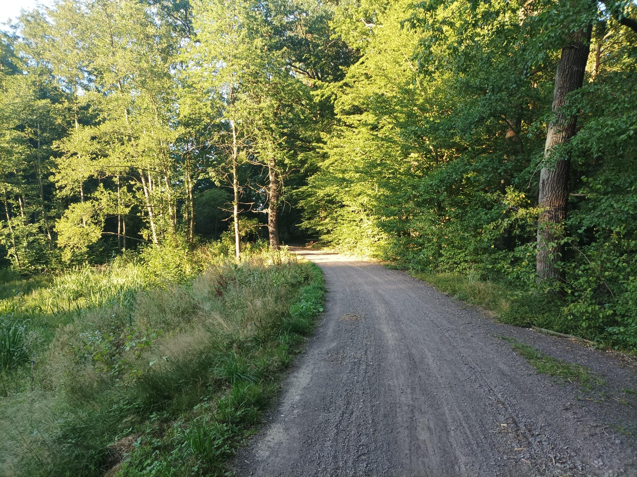 182797aa616?width=640&height=360&crop=true&q=70 Tourismus Bad Lausick &ndash; Touren - Radtour Bad Lausick &ndash; Colditz