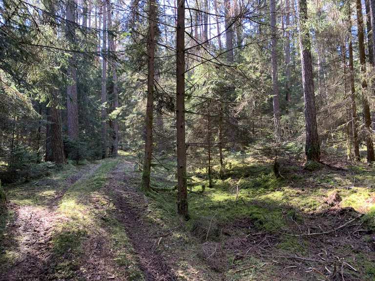 Naturpark Hirschwald Waldrunde vom Köferinger zum Kalten Tal