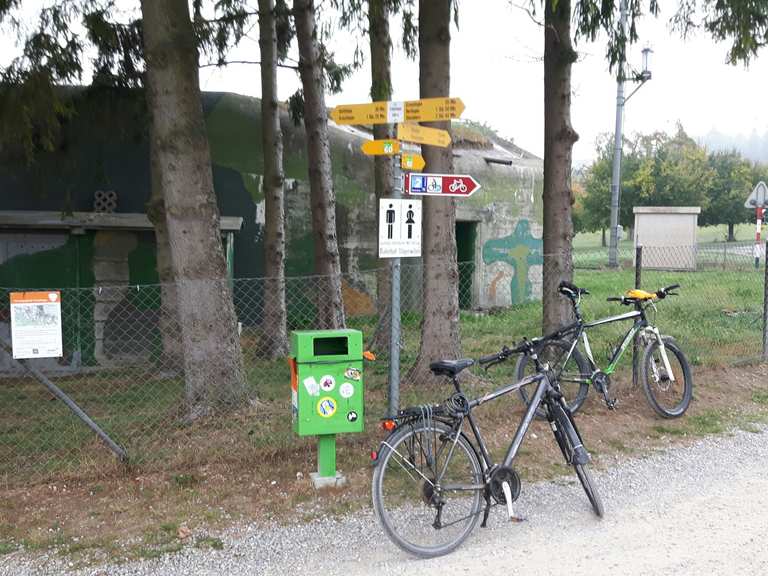 bodensee umrundung fahrrad