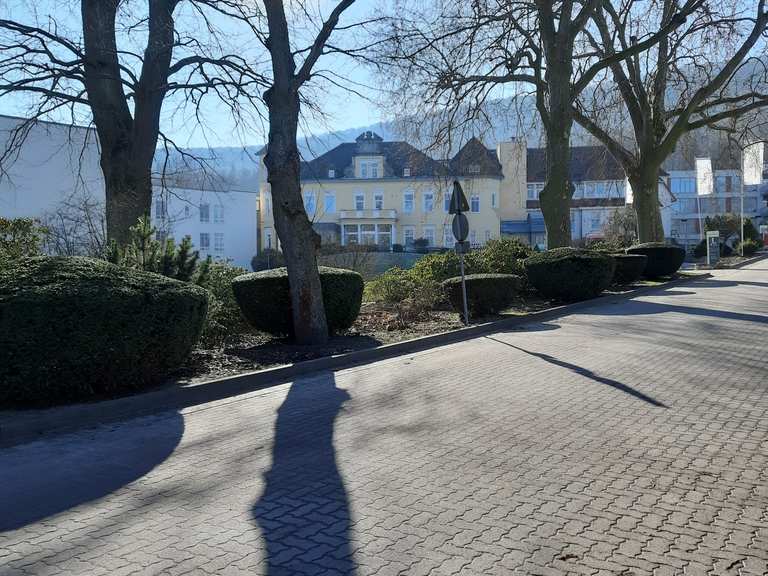 👨🏻‍🦳Besuch bei meiner alten Dame in Coppenbrügge Wanderung Komoot