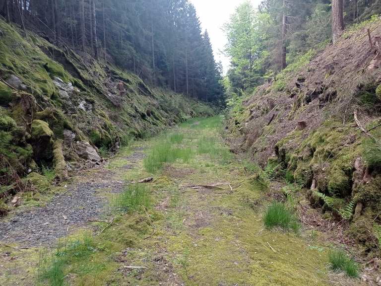 adorf-hranice-ro-bach-gettengr-n-adorf-wanderung-komoot