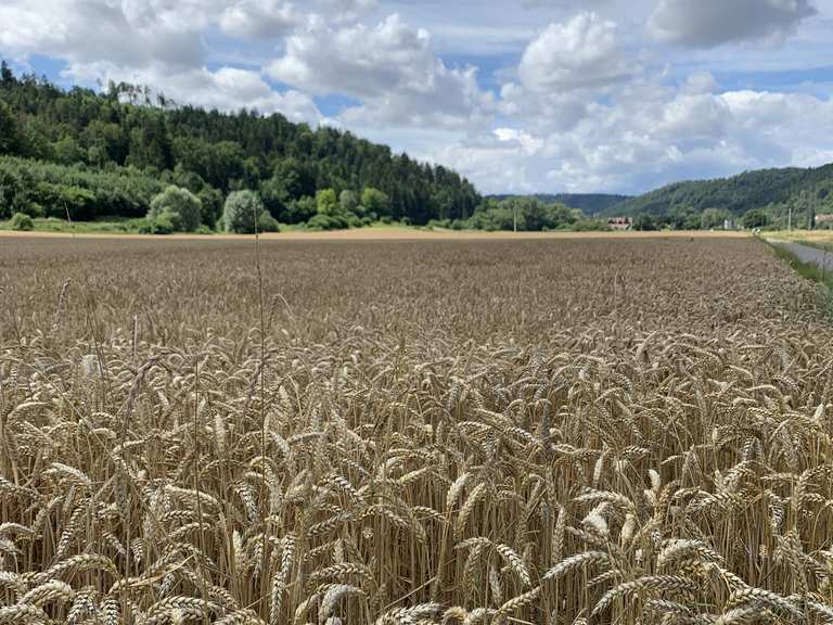 Am Neckar Entlang 1 Von Horb Nach Tubingen Bike Tour Komoot