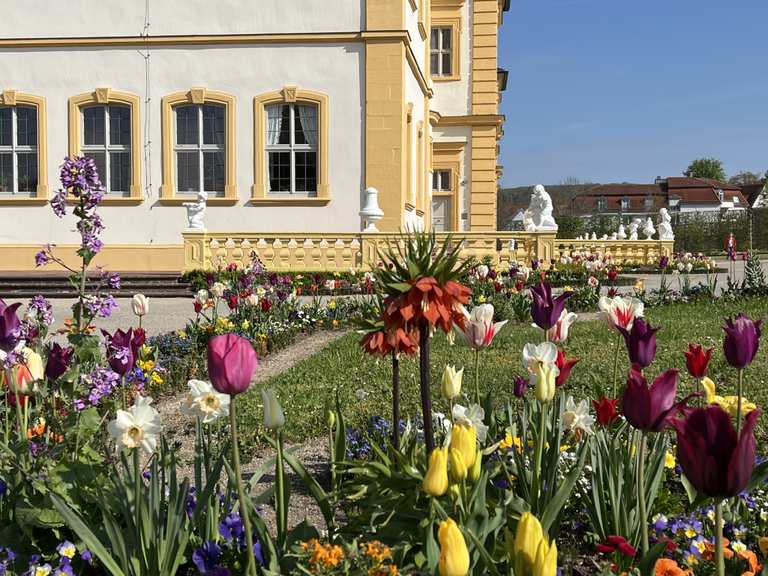 Würzburg 👻🏰👼💐 Schlossund RokokoGarten Veitshöchheim Wanderung Komoot