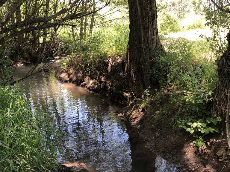 einmal ringsrum 🔄 durch den steigerwald 🐉🌳🌲 65km mountain bike ride
