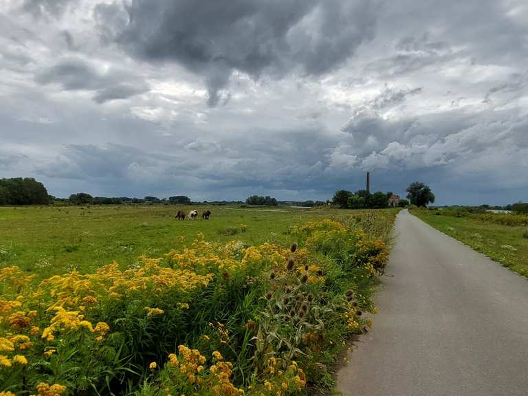 (Race)fietsroutes Land van Maas en Waal Komoot
