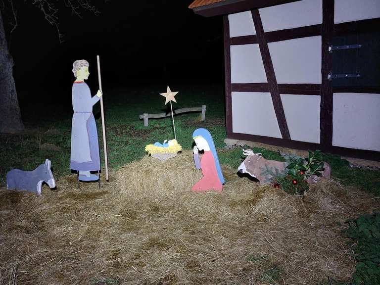 💡 NR zum Weihnachtsbaum 🎄Glashütte 580HM MountainbikeTour Komoot