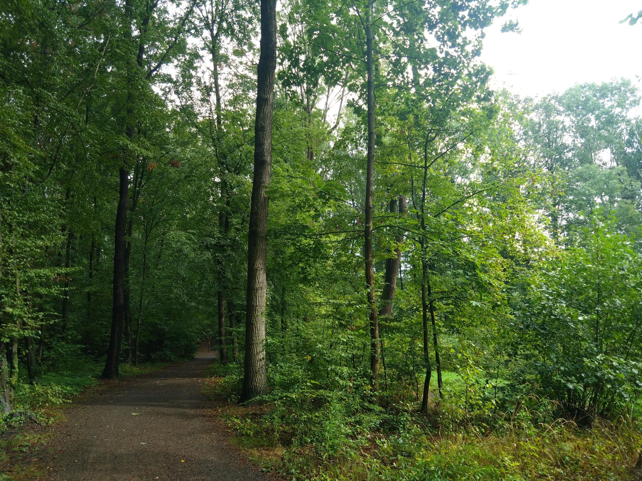 1831e1cbd5f?width=640&height=360&crop=true&q=70 Tourismus Bad Lausick &ndash; Touren - Geldbergring (TK 8)