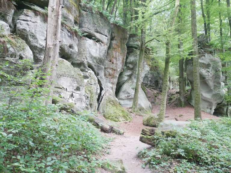 Luxemburg - Müllerthal - E1 Rundweg Echternach - Berdorf | Wanderung