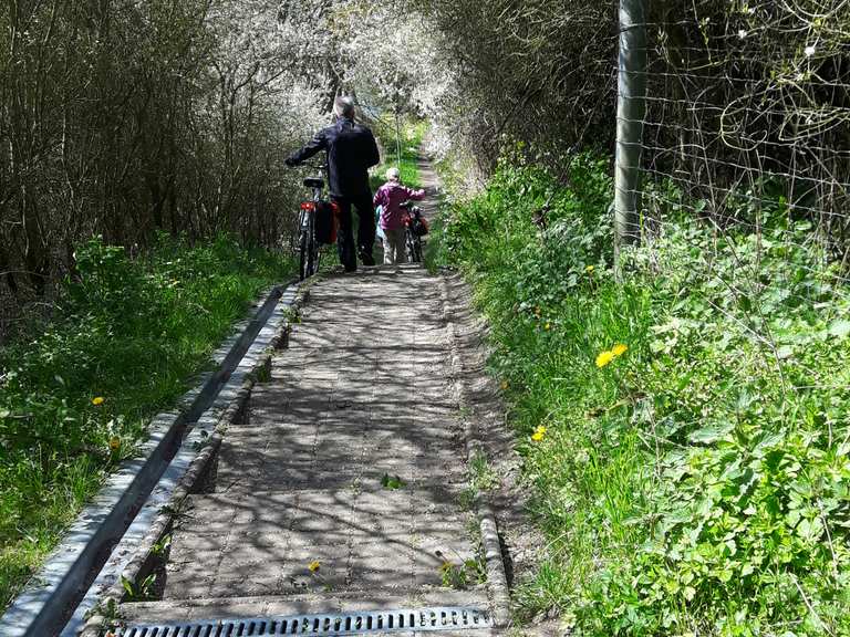 fahrrad fahren in plau am see