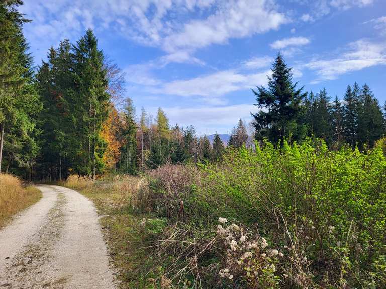 🚵‍♂️Rundtour🚵‍♀️ 