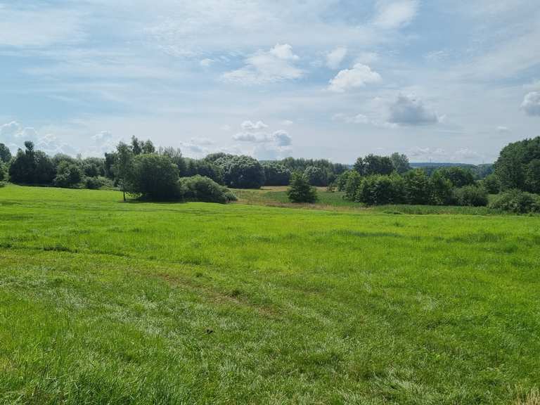 Tannmühle Großer Teich Runde von LimbachOberfrohna hike Komoot