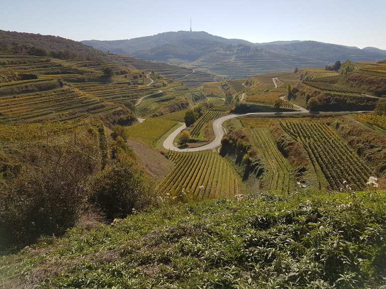 Texaspass Kaiserstuhl EMountainbikeTour Komoot