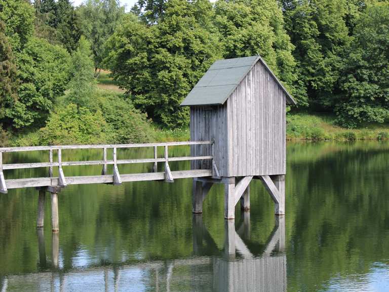 Harz HWN Hahnenklee Unterer Grumbacher Teich Hahnenklee (113