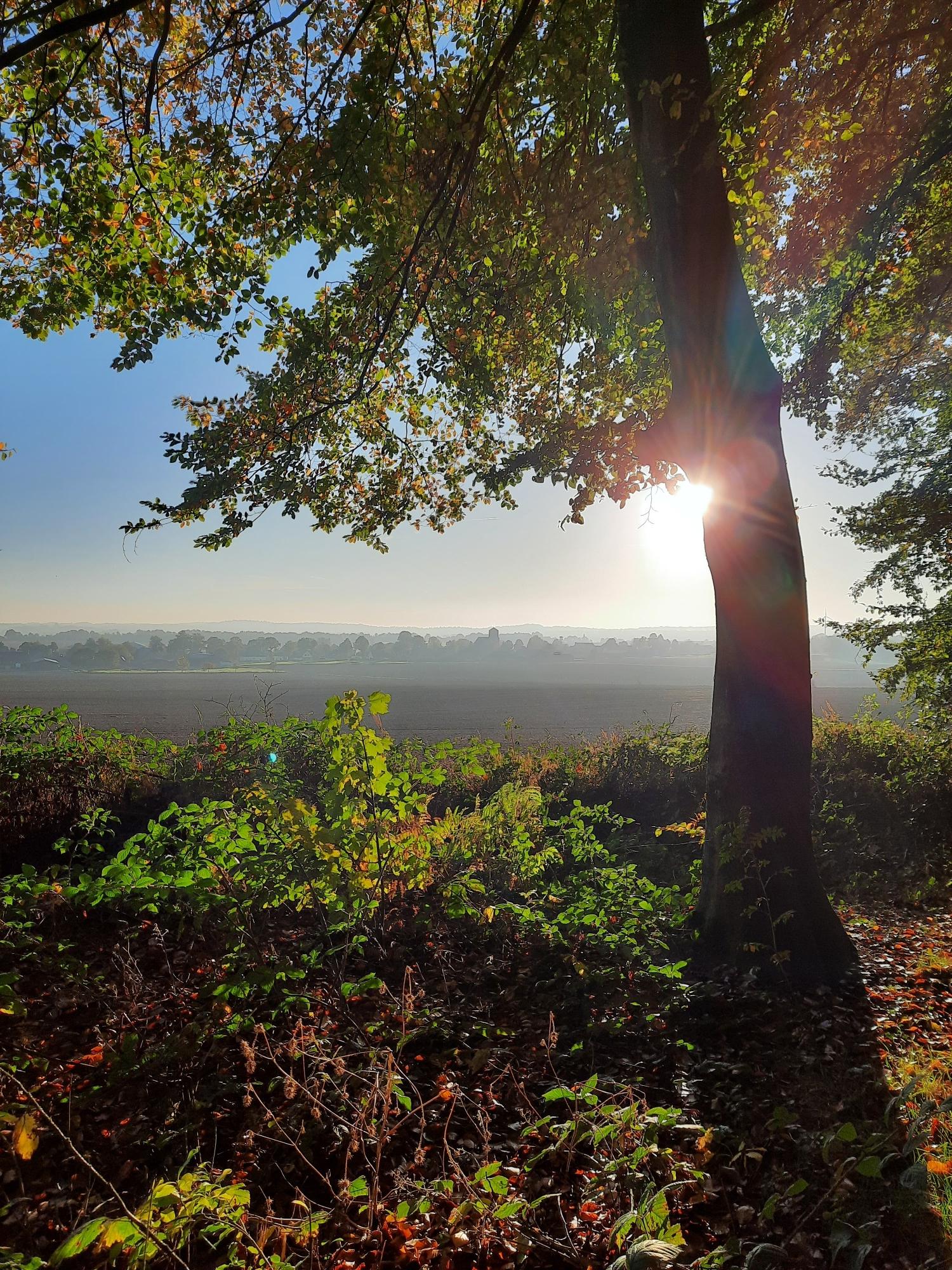 Walk Of Wisdom Etappe 3 Kranenburg (D) - Plasmolen | Wandeling | Komoot