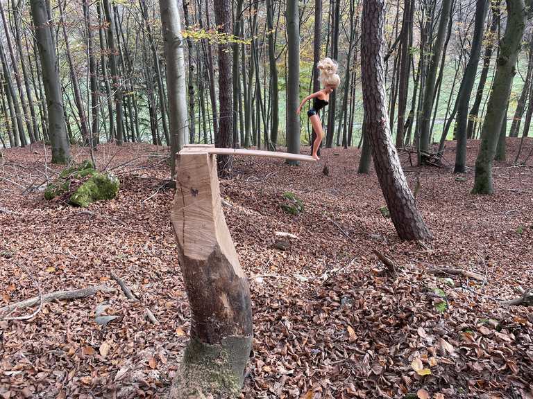 🚵🏼‍♂️💨Mal kurz Raus🍂🍁aus dem🏡 | Mountainbike-Tour | Komoot