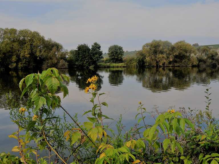 2017 09 28 Am Neckar Entlang Von Walheim Nach Lauffen Hiking