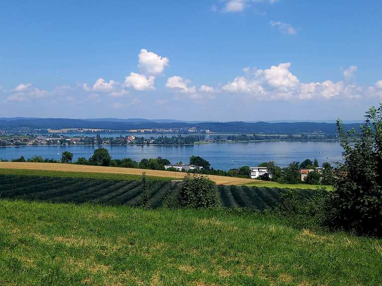 Rundwanderung Fruthwilen Salenstein Wolfsberg oberhalb Ermatingen