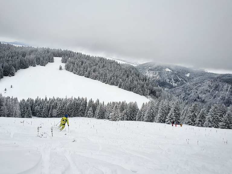 Erste Skitour des Winters: von Stollenbach auf den Feldberg | Skitour | Komoot