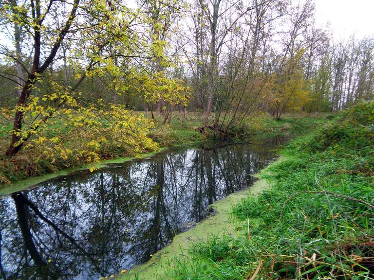 Pankeweg, NSG Karower Teiche, Lietzengraben & Karpfenteiche Von S