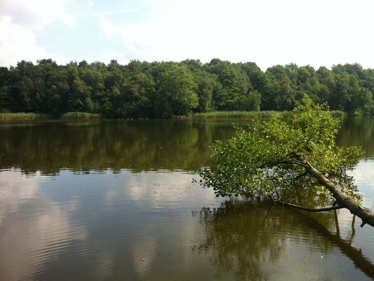 K1 Bredenbeker Teich mit Hund Wanderung Komoot