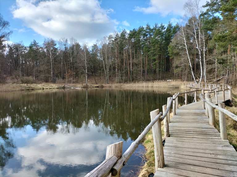 Königsbrücker Heide Biberpfad Königsbrück hike Komoot