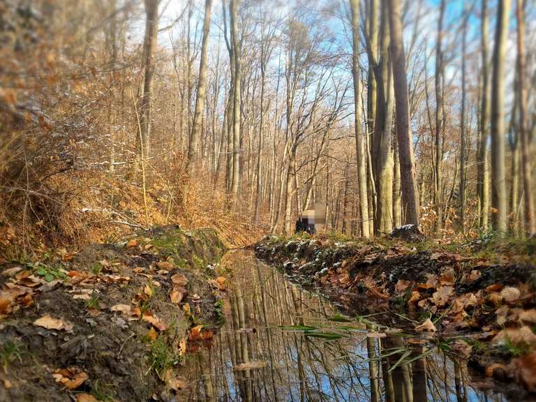 26-02-2023-02-23-3-projekt-zitrone-zum-wanderheim-eschelhof