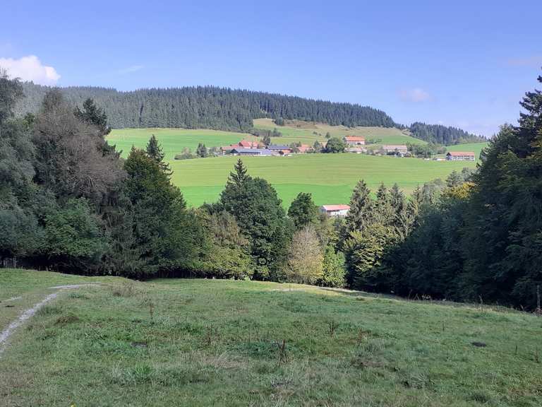 Missen - Thaler Höhe -Pfarr-Alpe | hike | Komoot