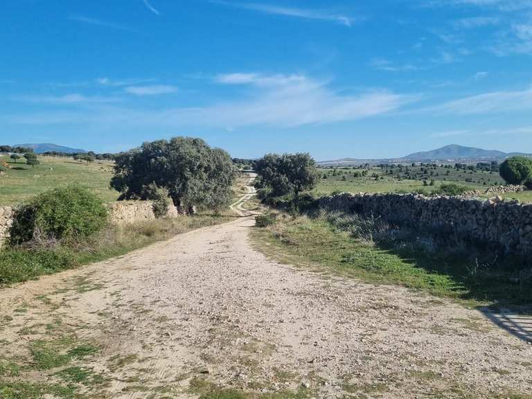 VALDELOSHIELOSVALDELAGANARVALDEGOINOPUENTE MARMOTAPISTATRIALERA