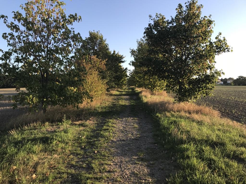 0?width=640&height=360&crop=true&q=70 Tourismus Bad Lausick &ndash; Touren - Etzoldshainer Westring (TK 5)