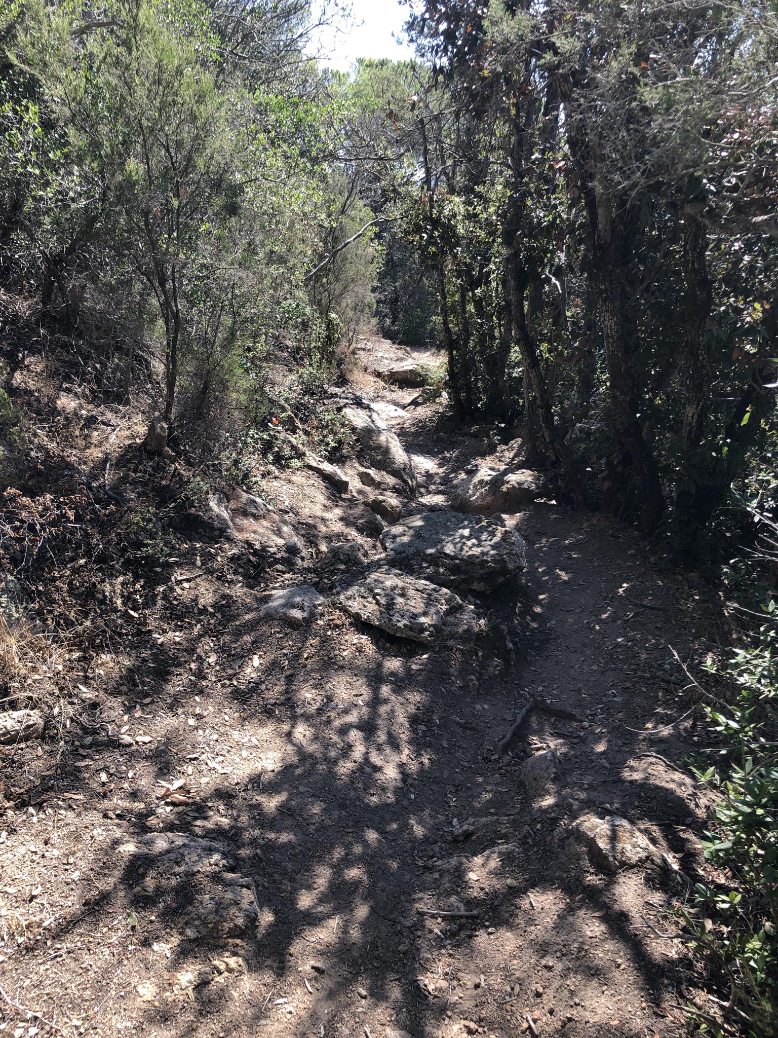 18360e8555a?width=3072&height=2304&crop=false&q=70