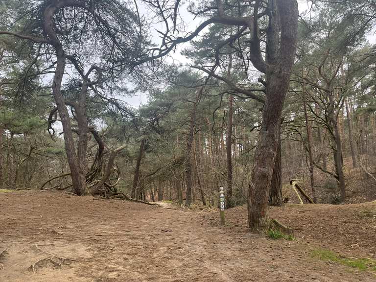 Oudsbergen duinengordel rode pijl hike Komoot