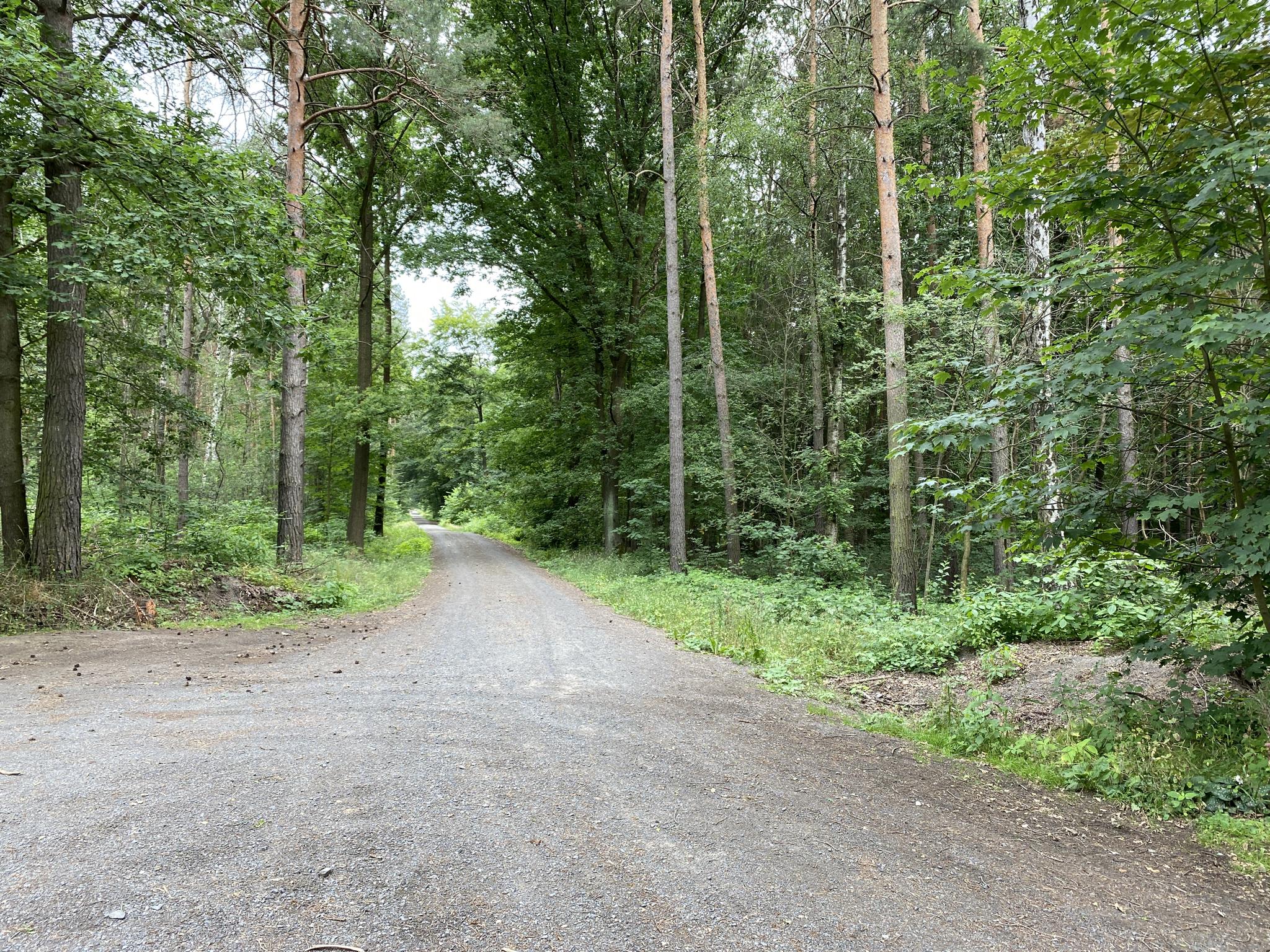 1731f925713?width=640&height=360&crop=true&q=70 Tourismus Bad Lausick &ndash; Touren - Radtour Bad Lausick &ndash; Colditz