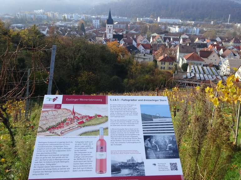 Esslingen, Weinberge und Weihnachtsmarkt | hike | Komoot