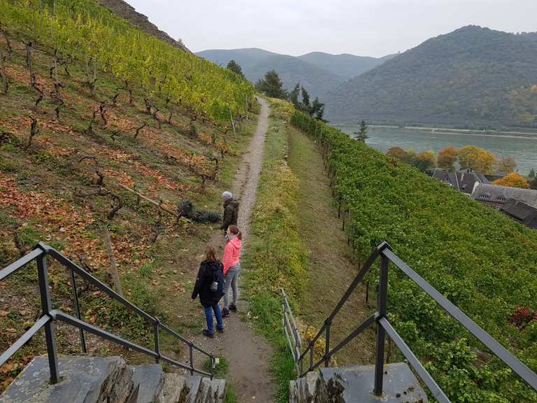 Wanderung in Bacharach am Rhein | Wanderung | Komoot