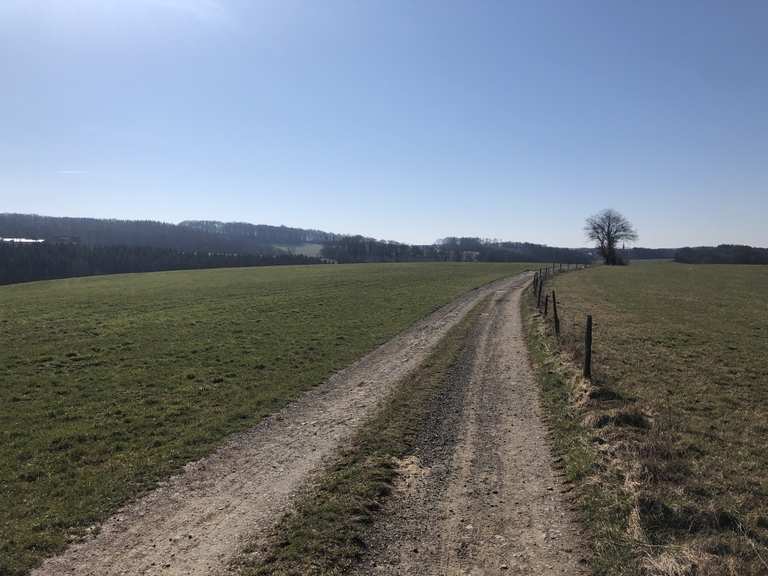 15kmWanderung südlich von Wipperfürth mit Familie und 🦮 Wanderung