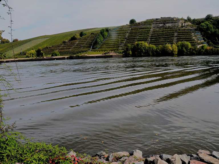 2017 09 28 Am Neckar Entlang Von Walheim Nach Lauffen Hiking