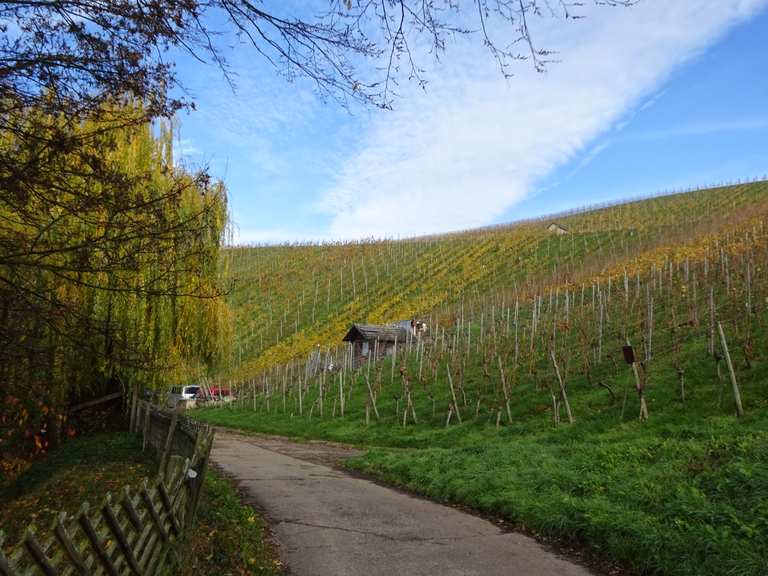 Esslingen, Weinberge und Weihnachtsmarkt | escursione | komoot